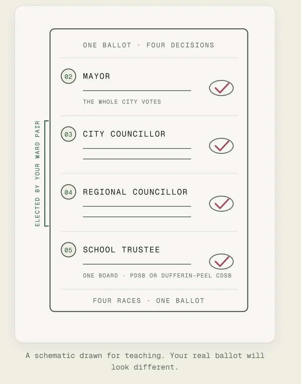 A schematic ballot from the Learn page with four races: Mayor, City Councillor, Regional Councillor and School Trustee. A bracket labelled "Elected by your ward pair" spans the two councillor races. The caption reads "A schematic drawn for teaching. Your real ballot will look different."